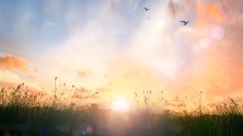 Top 5 Strategies for Establishing a Peaceful Environment at the End of Life